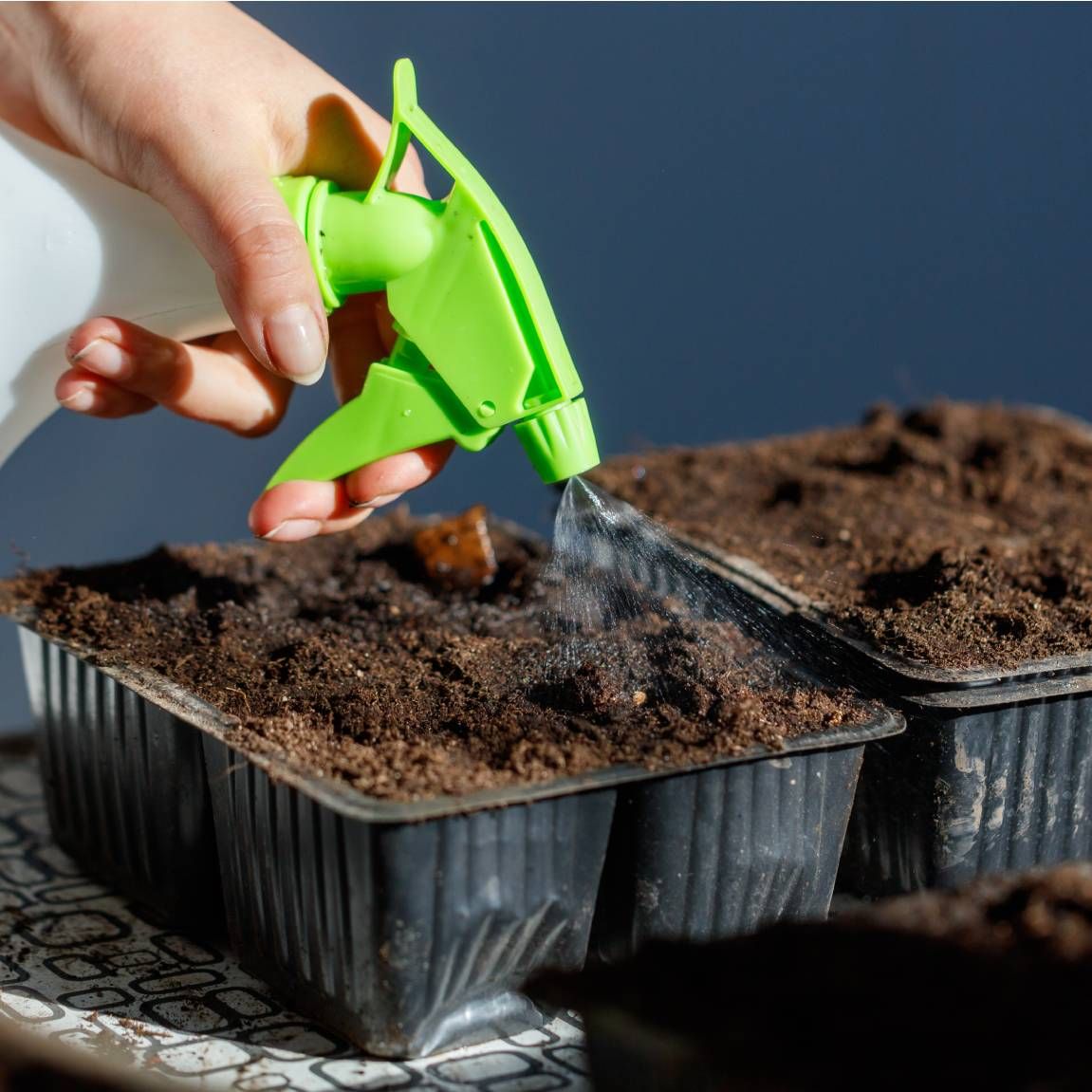 Dung dịch baking soda có thể kháng nhiều loại nấm (Ảnh minh họa).
