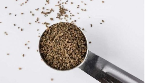 6 lợi ích của hạt cần tây có thể khiến bạn bất ngờ