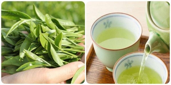 Thời điểm uống nước trà xanh tốt nhất cho sức khỏe
