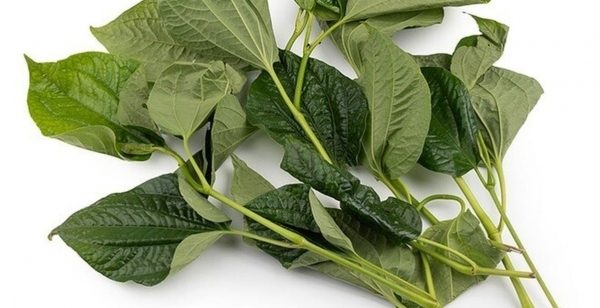Trời lạnh, xương khớp đau nhức: Đừng bỏ phí loại rau rẻ tiền này